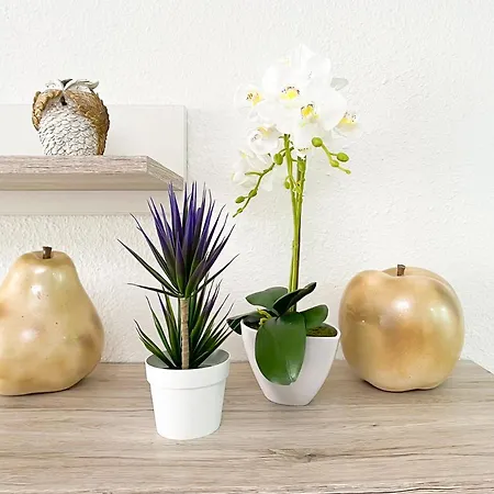 Korallia Castle Harbour * لوس كريستيانوس